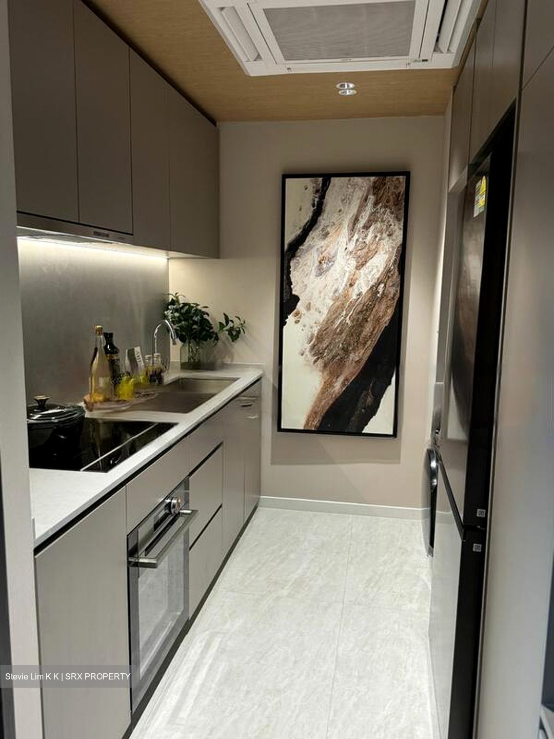 Terra Hill (D5), Apartment #456514291